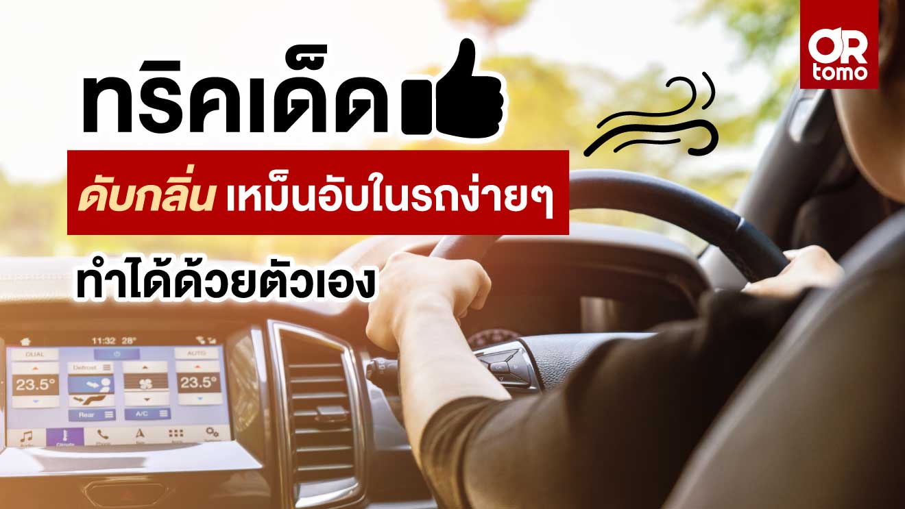 Eliminate musty smell in the car