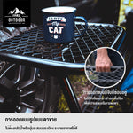 บันไดขึ้นหลังคารถ LADDER