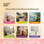 กระปุกหอมปรับอากาศ Trapo Scent Pod