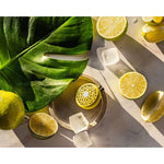 น้ำหอมสำหรับรถยนต์แบบเซ็ตMaisonBergerParis, Car Difusser+กลิ่นTahitian Green Zest