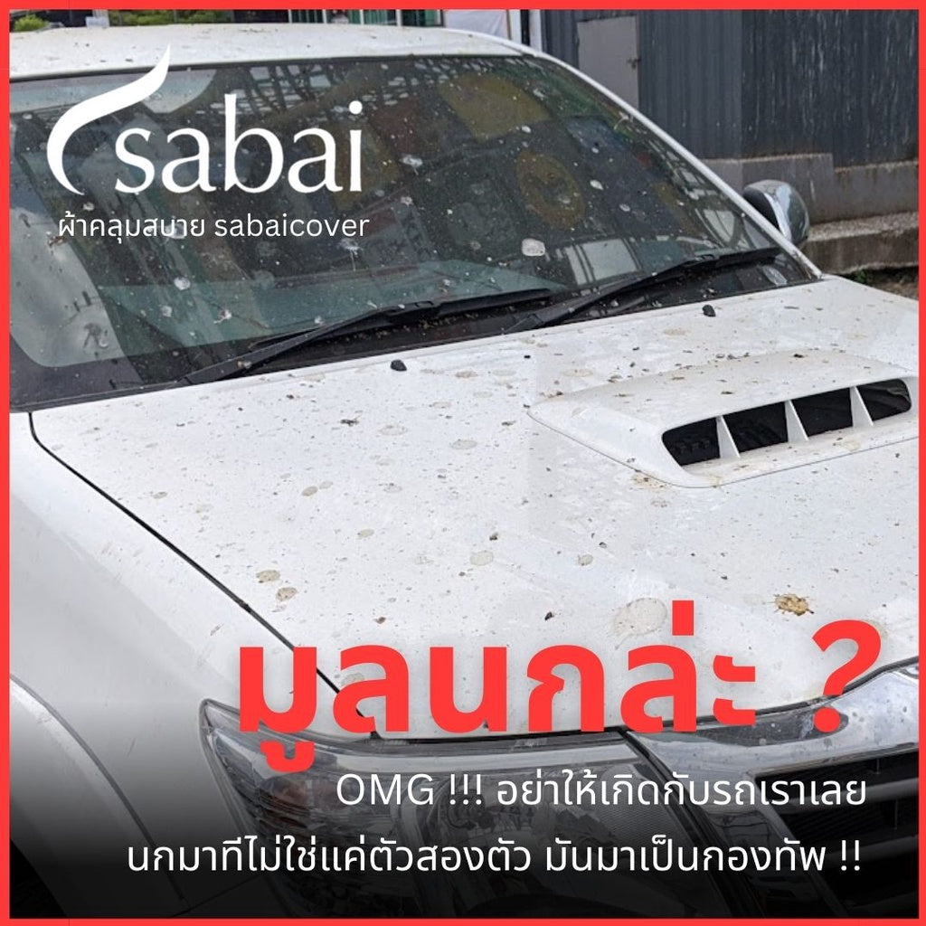 ข้อความอธิบายรูปภาพ