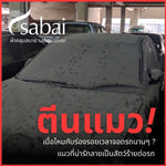 ผ้าคลุมรถ TESLA MODEL 3 (2023)